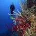 sponge_rope_sh_jar_v_0046_cub2304.jpg